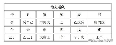 巳藏支|十二地支藏干口诀 – 地支藏干原理及作用